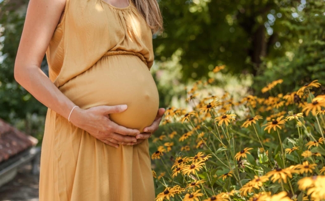 Unrecognizable pregnant woman holding her belly next to flowers in nature.
